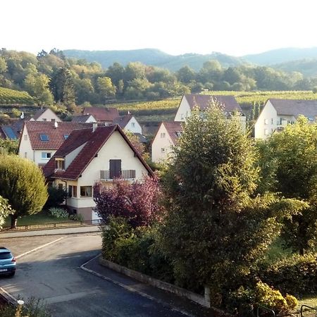 Marcia Donatti - A L'Ombre Des Coteaux Sao Paulo Hotel Kaysersberg-Vignoble Exterior foto