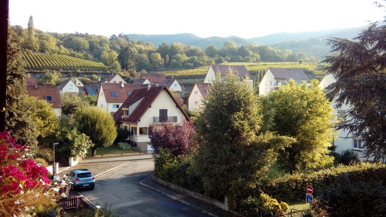 Marcia Donatti - A L'Ombre Des Coteaux Sao Paulo Hotel Kaysersberg-Vignoble Exterior foto